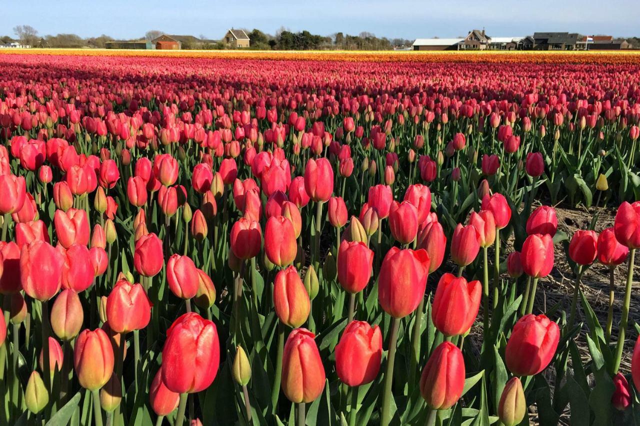 Bed & Breakfast De Roos Urk Exterior foto